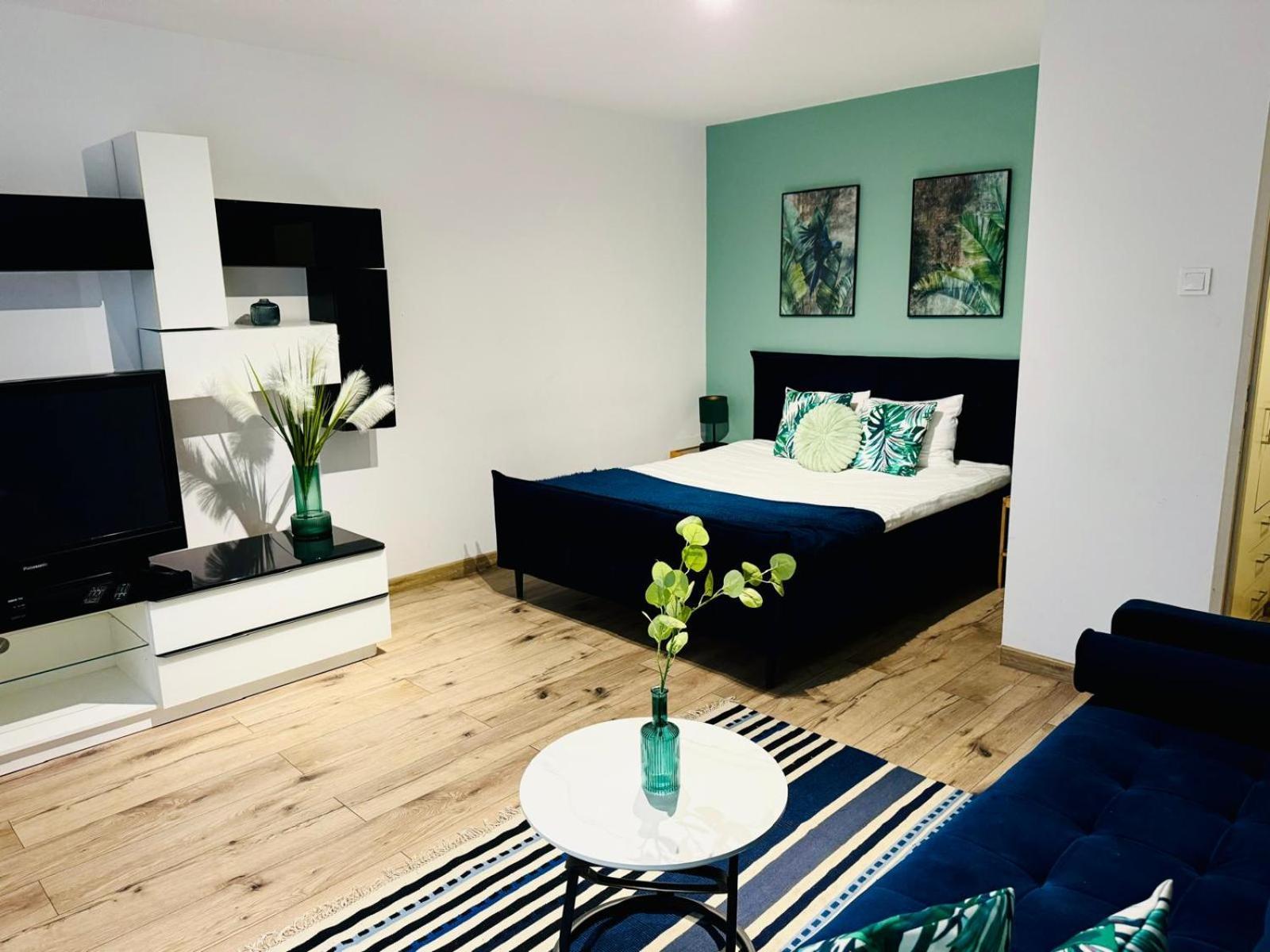 Blue Apartment Close To Old Town ビィドゴシュチュ エクステリア 写真